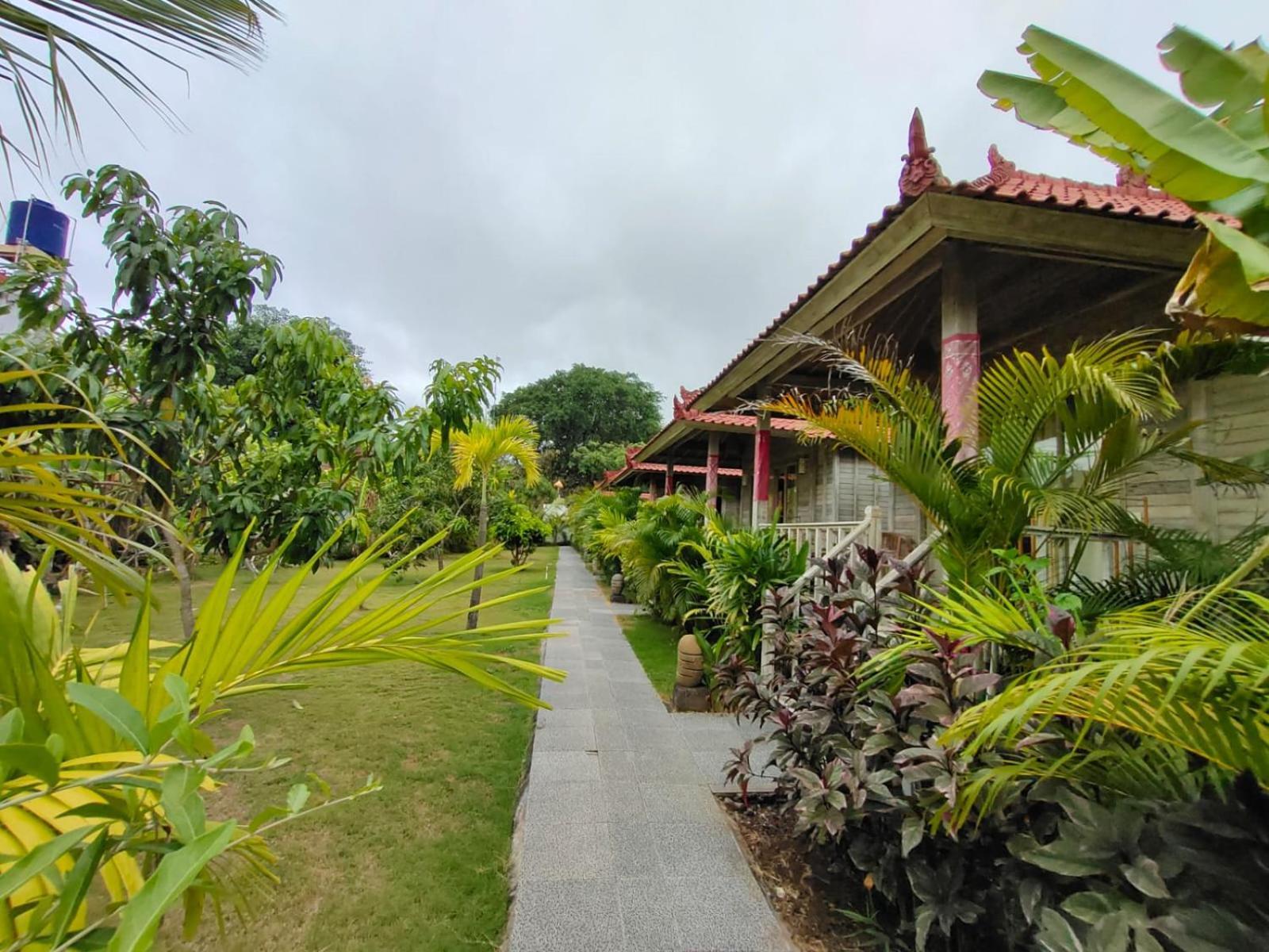 The Canda Mushroom Beach Lembongan Экстерьер фото